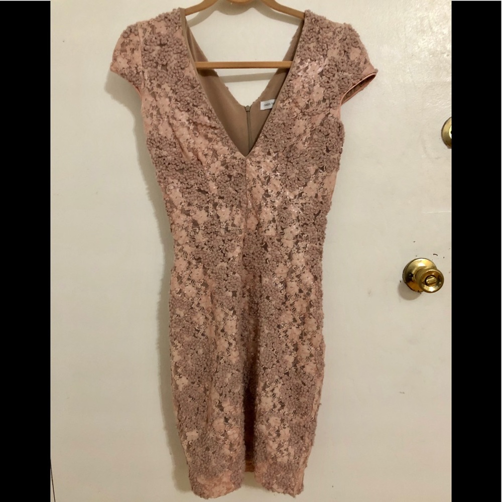 Dress the Population Zoe pink embroidered dress